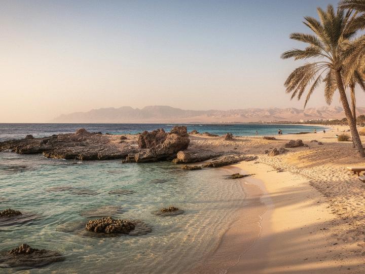 Marsa Alam quiet coastline with palm shade and clear water